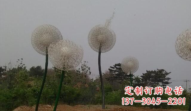 绍兴蒲公英的绚丽多彩