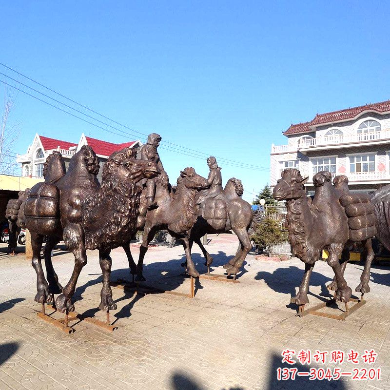 绍兴茶马古道骆驼队