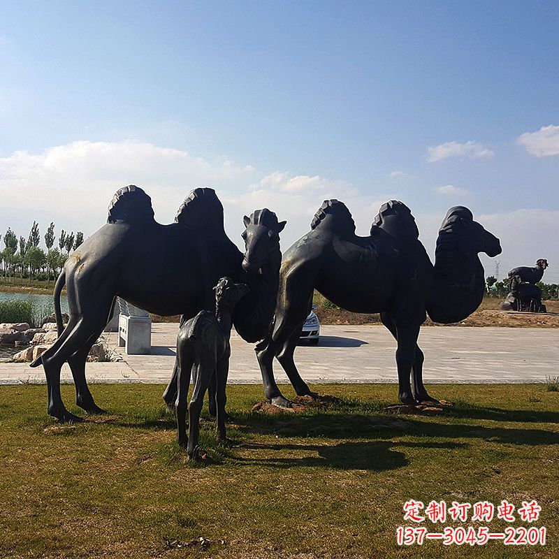 绍兴铜骆驼雕塑，精致景观装饰